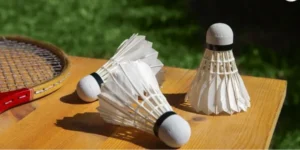 Tham Gia Cá Cược Cầu Lông W88: Chinh Phục Thắng Lợi Đầy Kịch Tính