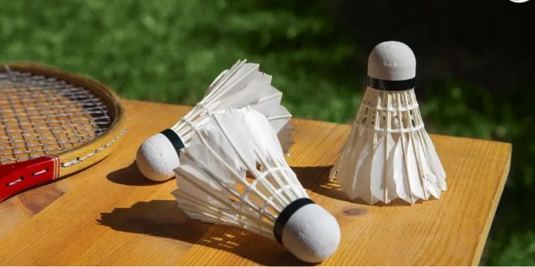 Tham Gia Cá Cược Cầu Lông W88: Chinh Phục Thắng Lợi Đầy Kịch Tính 1 Tham Gia Cá Cược Cầu Lông W88: Chinh Phục Thắng Lợi Đầy Kịch Tính